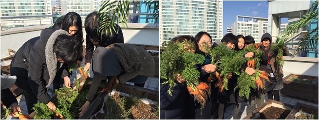 환경리폼모임 \'리폼의 달인\' 옥상정원 가꾸기